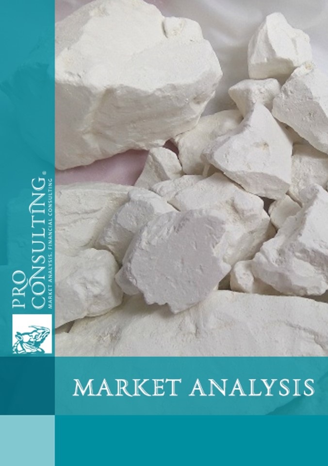 Market analysis of kaolin in Ukraine and the world. 2018